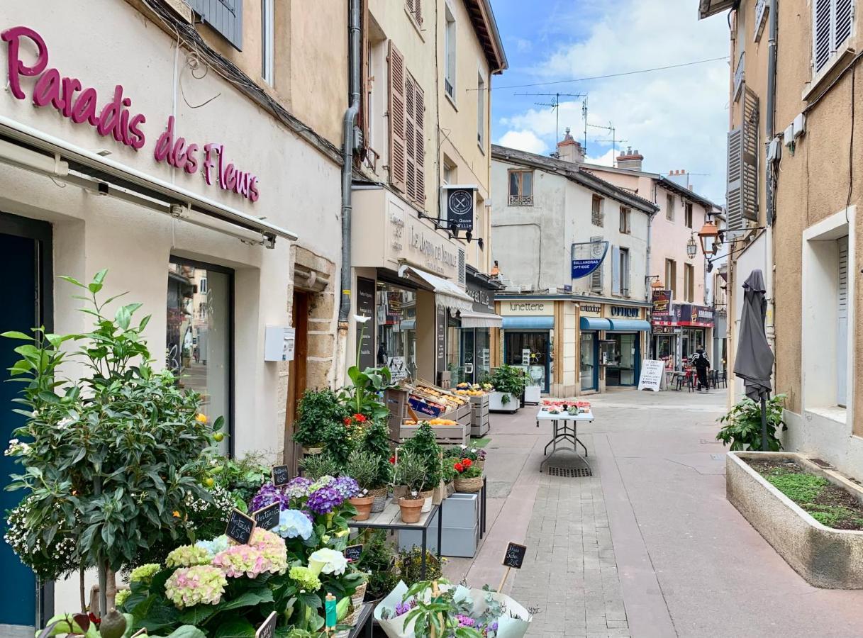 Charmant Appartement Au Coeur De Neuville - Lyon A 20Mn Dış mekan fotoğraf