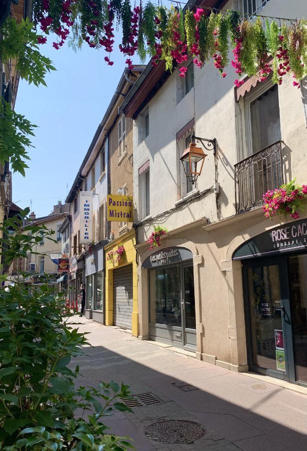 Charmant Appartement Au Coeur De Neuville - Lyon A 20Mn Dış mekan fotoğraf